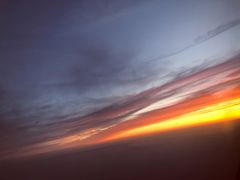 -上海浦东国际机场T1航站楼-P1停车场