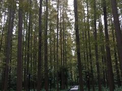-上海怡沁园度假酒店
