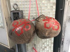 -洪馨椰子