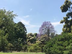 -墨尔本皇家植物园