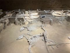 -洛阳周王城天子驾六博物馆