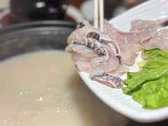 珍珠斑-大良毋米粥·粥底火锅(岭南天地店)