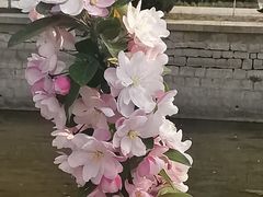 -海棠花溪(元大都城垣遗址公园)