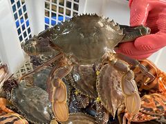 -鸿旺海鲜楼(平潭流水店)