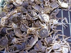 -聚盛源蒸汽海鲜火锅烤肉自助(巨川金海岸购物广场店)