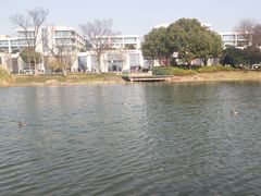 -尚贤河湿地