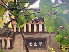 -习家池