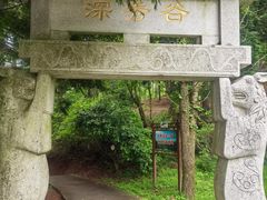 -四明山国家森林公园