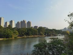 -金山公园