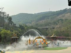 -西双版纳原始森林公园