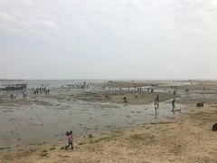 -北海金海湾红树林生态旅游区