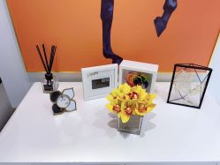 -MIVI野生眉纹绣纹眉