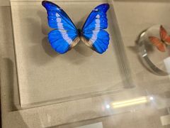 -上海昆虫博物馆