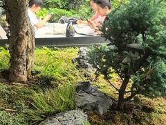 -恬阿姨庭院餐厅·生日宴