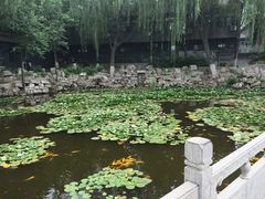 -文瀛公园