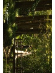 -北遇映画PHOTO GRAPHY STUDIO
