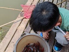 -同銮特种养殖场·龙虾垂钓