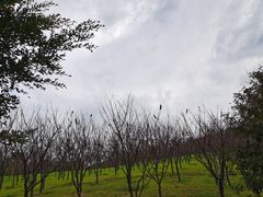-牛岗山公园
