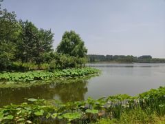 -东郊湿地公园