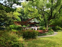 -申粤轩酒楼·三十年粤菜经典(丁香花园店)