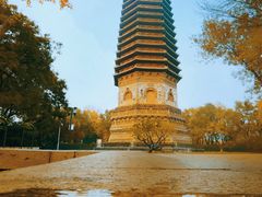-玲珑塔公园
