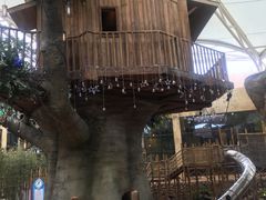 -杭州开元森泊度假乐园