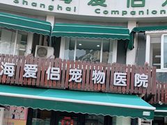 -爱侣宠医·鹦鹉专科·小型哺乳类·异宠专科(灵石路店)