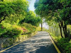 -莫干山风景区