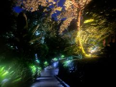 -腾冲洞山温泉村