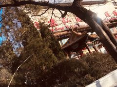 -弘医堂医院-中医科