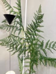 -四七美学·半永久纹眉