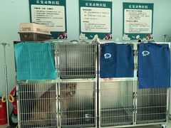 -乐宠动物医院