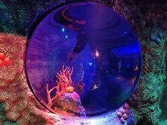 -沈阳海洋探索中心