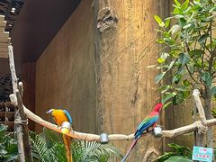 -杭州开元森泊度假乐园