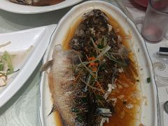 -阿巧一号私房菜(止园路店)