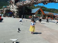 -大连森林动物园