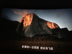 -曹杨影城(曹杨店)