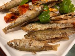 -小小饭店·休闲农庄·安吉松树林里的农家菜