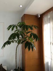 -HEYAN荷妍专业脱毛连锁机构