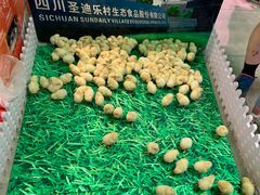 -盒马鲜生(帝斯曼店)
