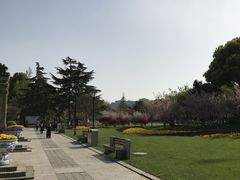 -荆川公园