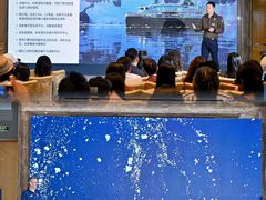 -上海浦东丽思卡尔顿酒店