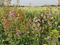 -中国天府农业博览园