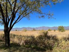 -野鸭湖国家湿地公园