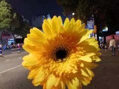 -海底捞火锅(方塔东街店)
