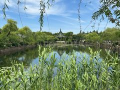 -无锡蠡湖国家湿地公园-蠡园