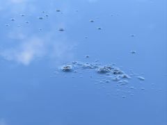 -黑油山景区