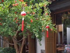 -鲤院·新中式美学·庭院餐厅(夫子庙店)