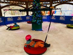 -长沙湘江冰雪世界