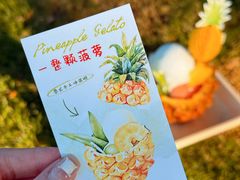 -苏小糖(鼓浪屿三丘田花园店)